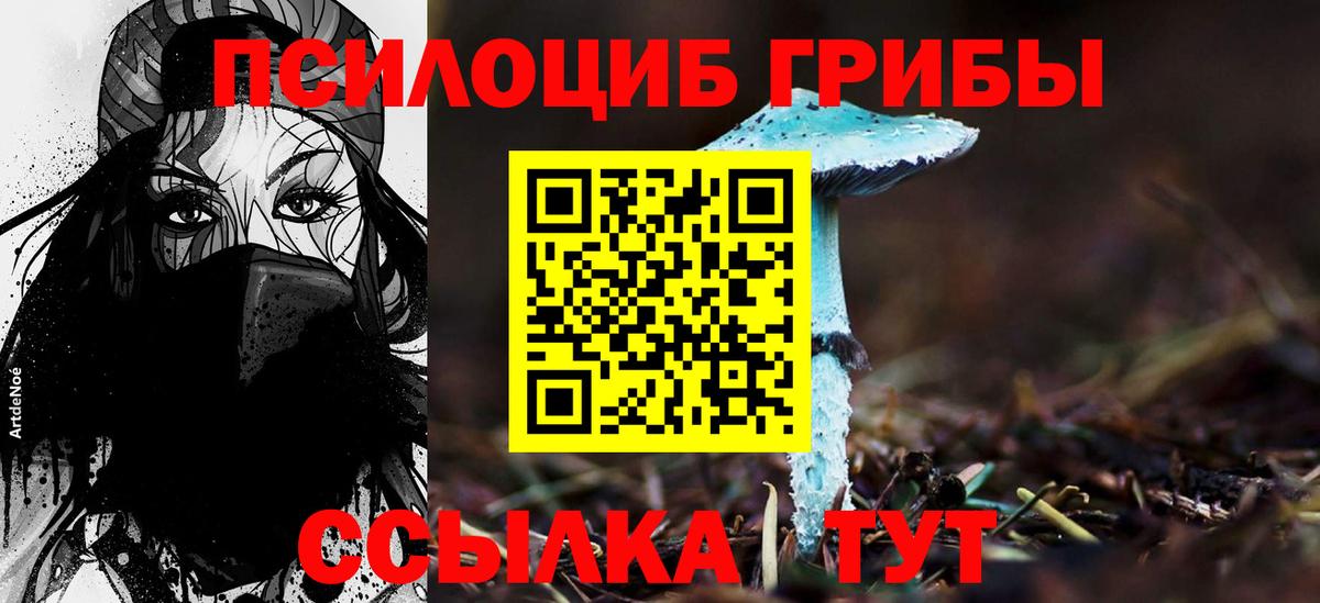 Галлюциногенные грибы ЛСД Великий Устюг